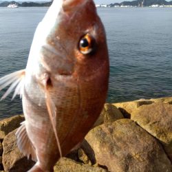 初の釣果に嬉しさ爆発しました。