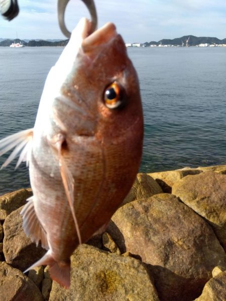 初の釣果に嬉しさ爆発しました。