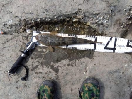 久々の念願フラット…