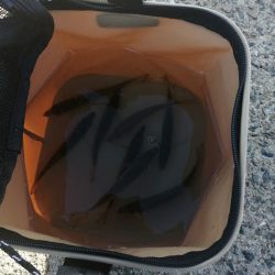 ジグサビキでアジ好調