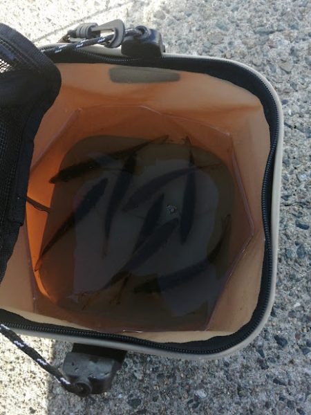 ジグサビキでアジ好調