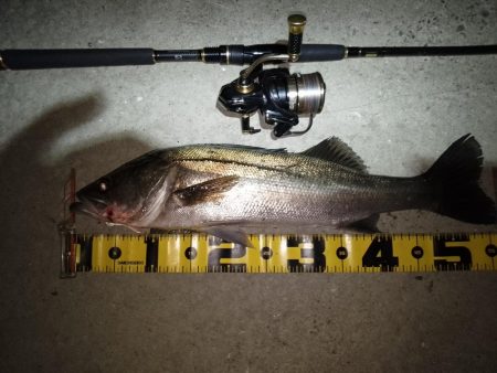 散らしてスイッチON?