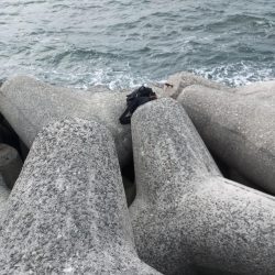 爆風の中で。。