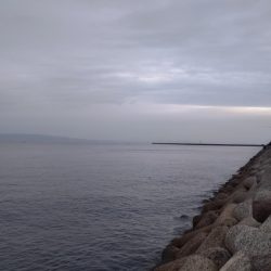 貝塚人工島 青物はお休みのようです。