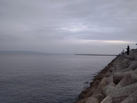 貝塚人工島 青物はお休みのようです。