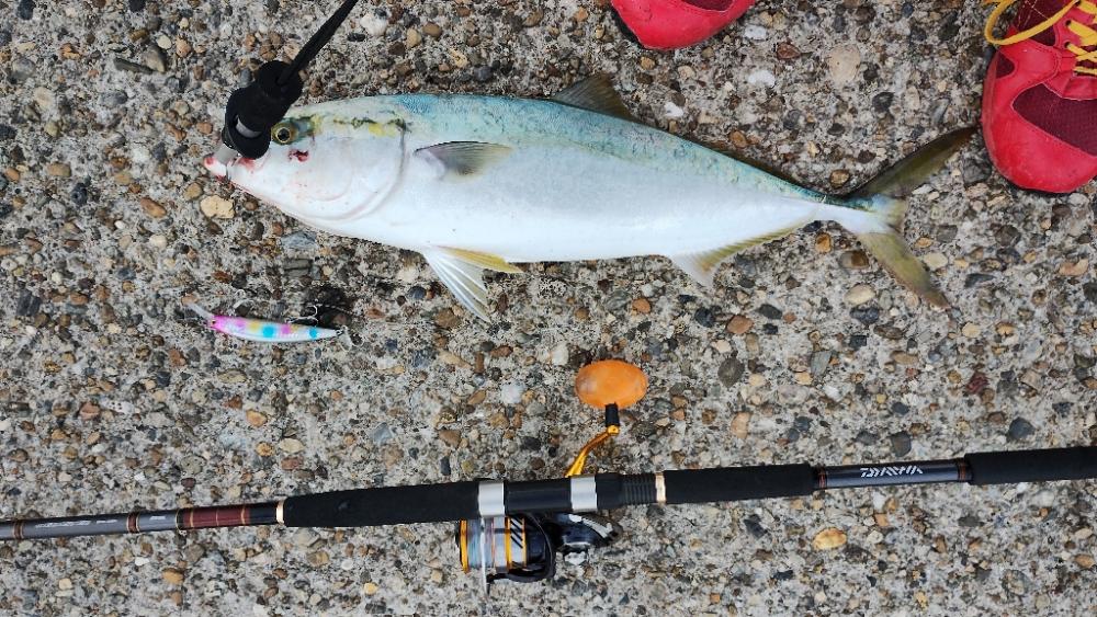 ガシリングのちショアジギング