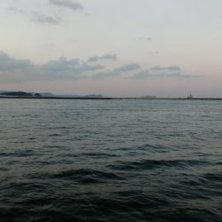 渋い、、、一方釣れたら良型。