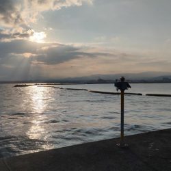 タモ入れありがとうございました