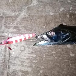 最近は短め😭早くメーター超えしたい❗