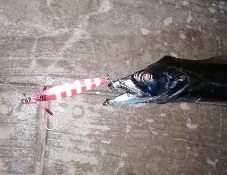 最近は短め😭早くメーター超えしたい❗