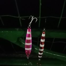 今日は全体的に渋め