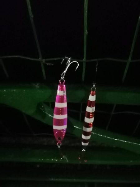 今日は全体的に渋め