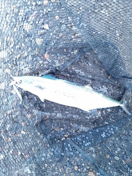 渋い状況の中でのヒット