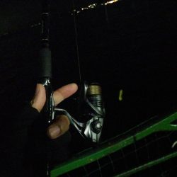 今週は先週よりも渋かった