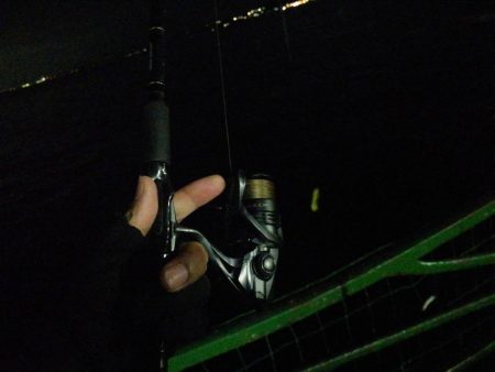 今週は先週よりも渋かった