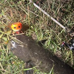 リベンジならず