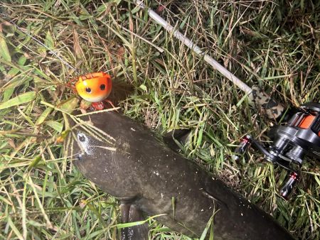 リベンジならず