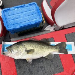 ディープホールでロクマル他