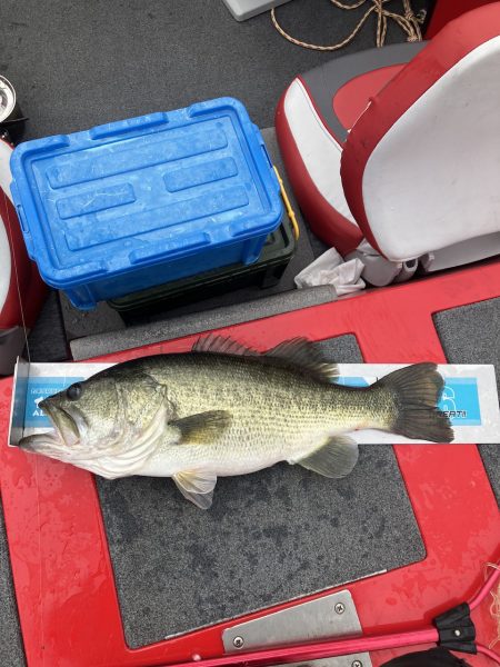 ディープホールでロクマル他