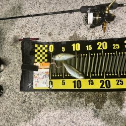 爆風でしたが…