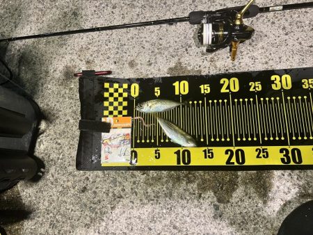 爆風でしたが…