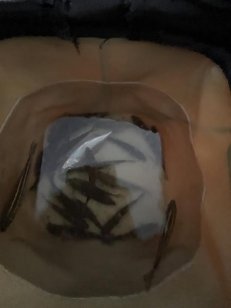 サビキも終わりかけ②