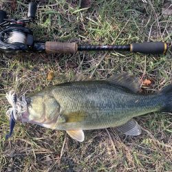 秋を感じながらのバス釣り