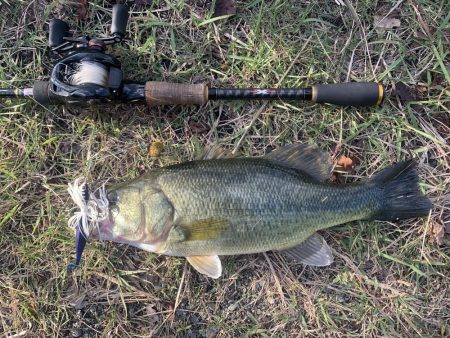 秋を感じながらのバス釣り