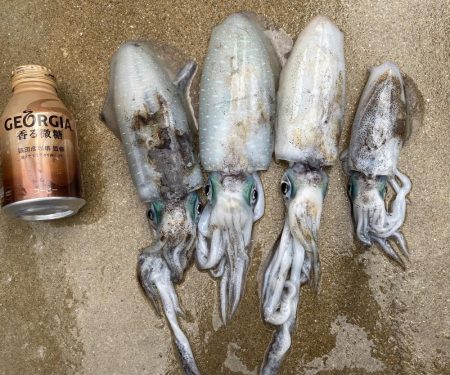 今年は少ないねん