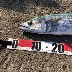 やっと今季1本目の！