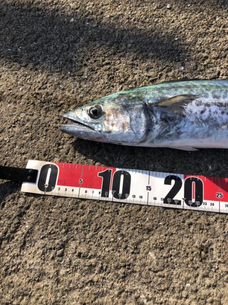 やっと今季1本目の！