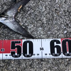 粘って良かった