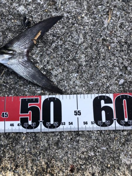 粘って良かった