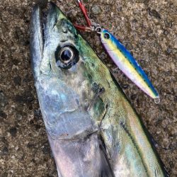 2023ライトゲーム第39戦