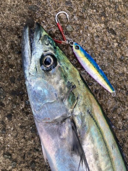 2023ライトゲーム第39戦