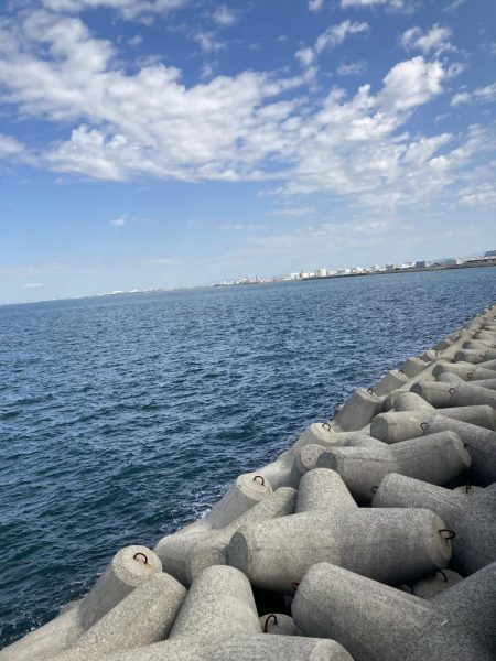 3年ぶりのサゴシ