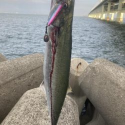 ライトショアジギング