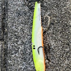 ライトショアジギング