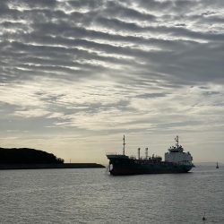 毎年恒例の年1イイダコ釣り