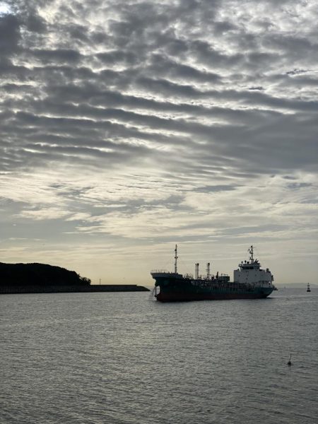 毎年恒例の年1イイダコ釣り