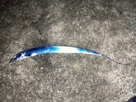 昼グレと夜タチ