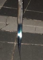 タチウオ小さい