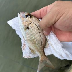 メッキが消えた…