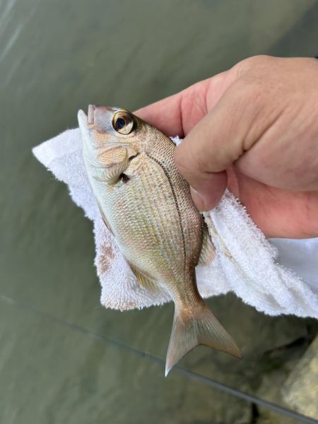 メッキが消えた…