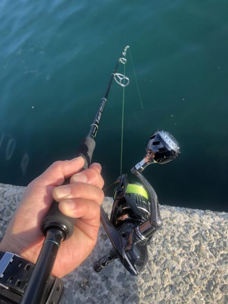 またしても寝坊からの太刀魚