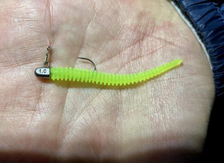 アジングイベント釣行