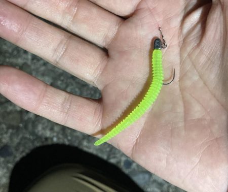 アジングイベント