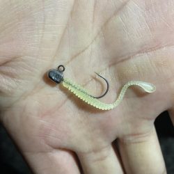 アジングイベント2