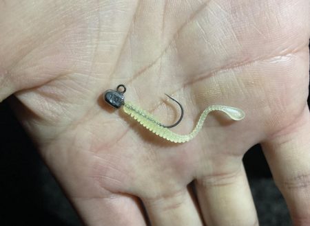 アジングイベント2