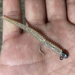 アジングイベント